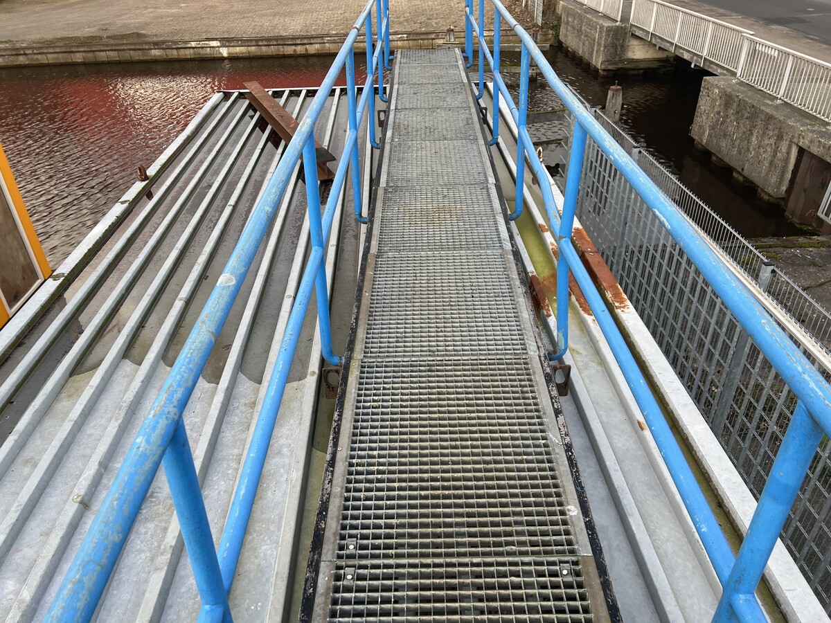 Afbeelding 3